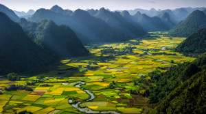 Software - Sample 3 for three columns